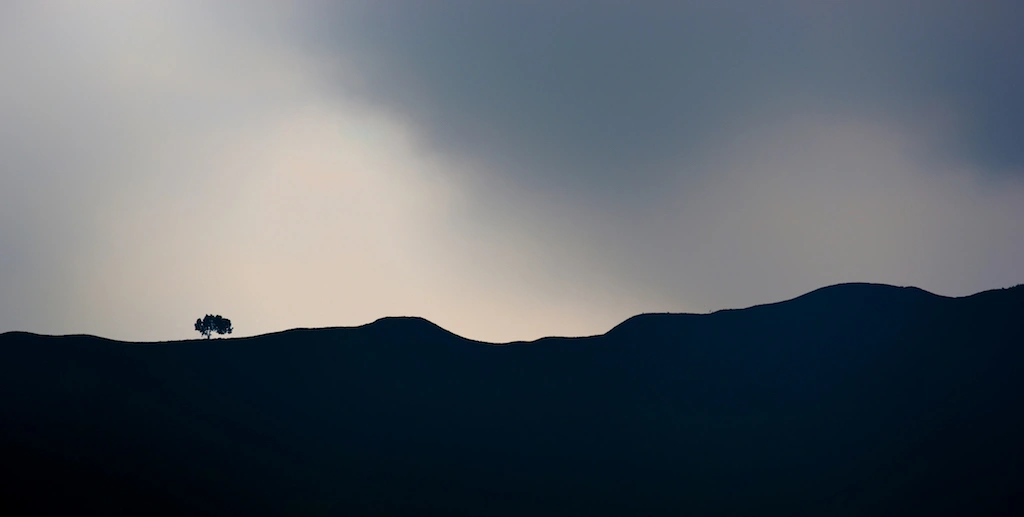 Mists of Thought