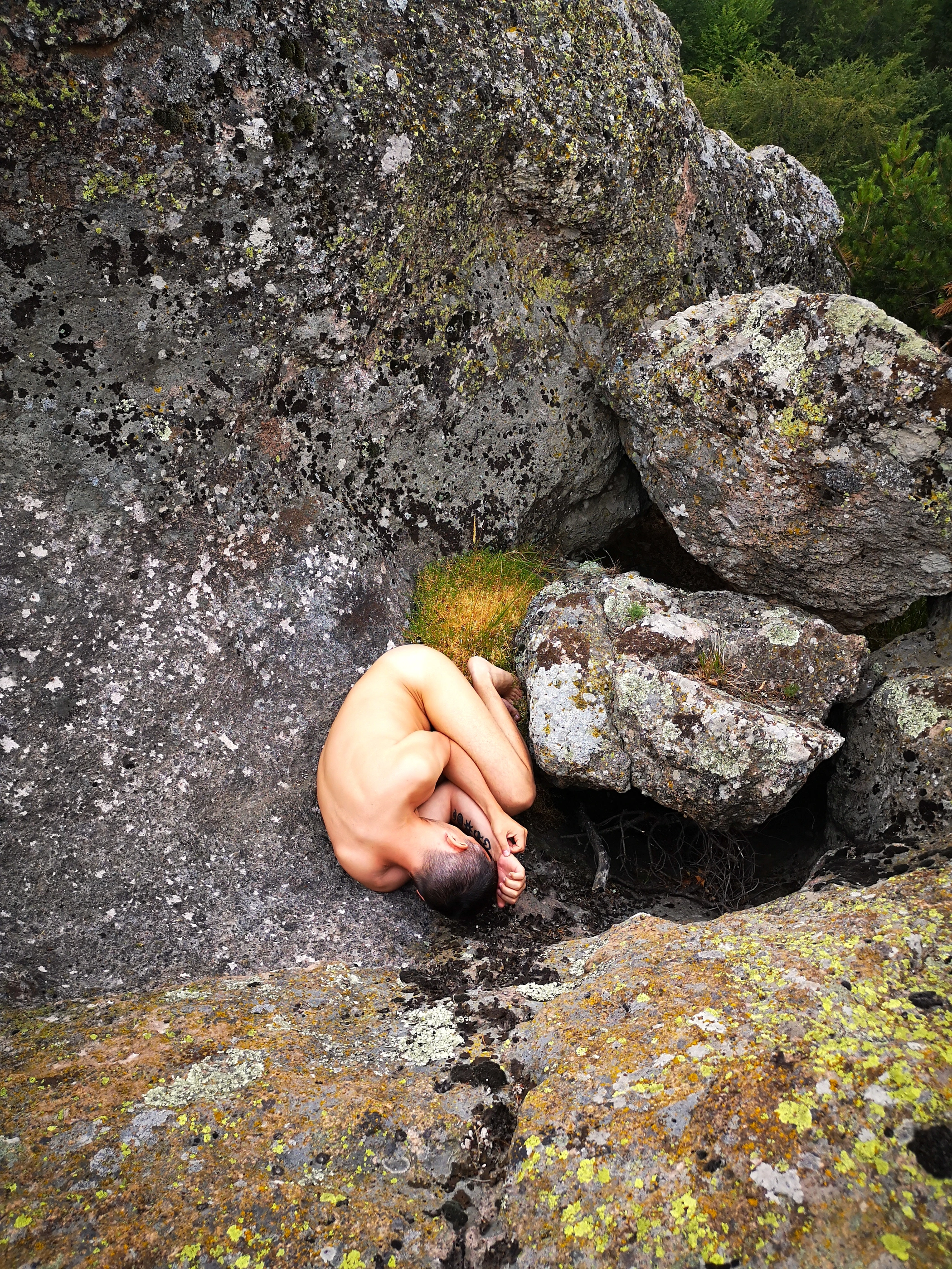 We Are Nature 